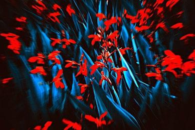 《蓝色协议》关服前路线图公开：每月发放游戏内补偿