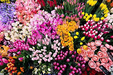 Win11加入多项新功能：“快速访问”能固定文件了