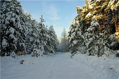 深入体验《吸血鬼：避世血族 2》，现已登陆 PC 及主机平台